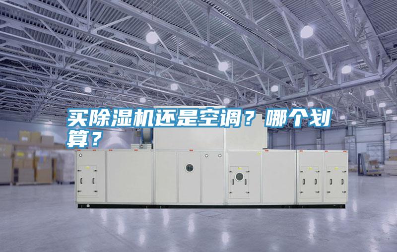買除濕機(jī)還是空調(diào)？哪個劃算？