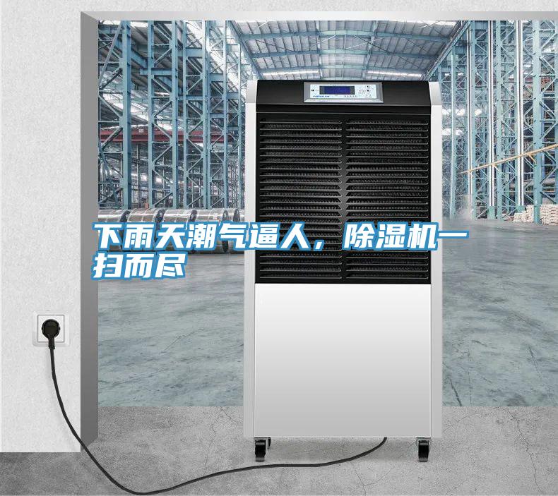 下雨天潮氣逼人，除濕機(jī)一掃而盡