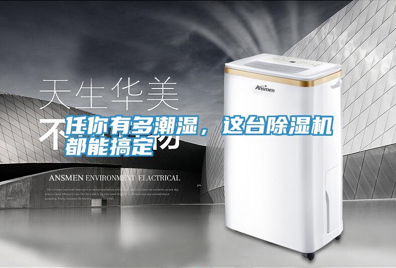 任你有多潮濕，這臺(tái)除濕機(jī)都能搞定