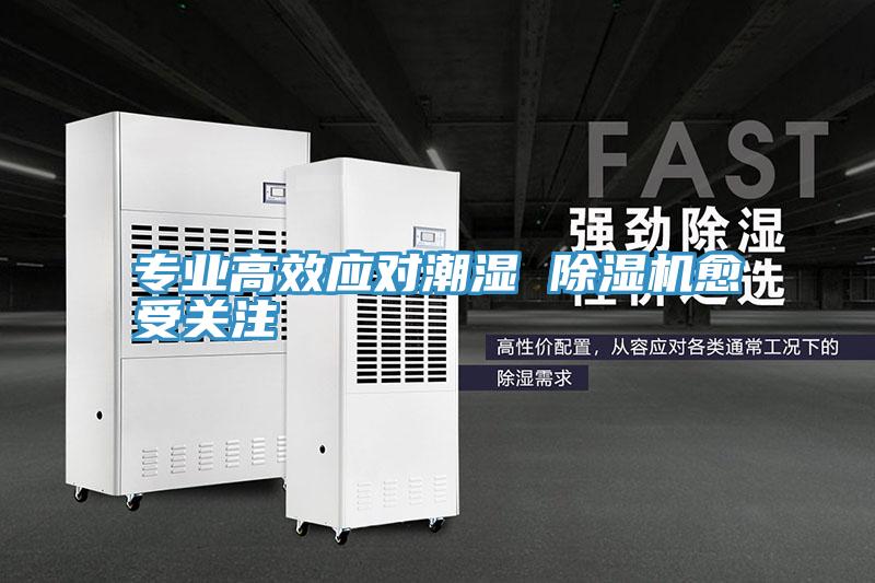 專業(yè)高效應(yīng)對潮濕 除濕機(jī)愈受關(guān)注