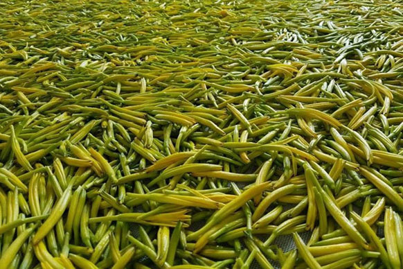 無硫金針菜烘干如何保持品相？不發(fā)黑？