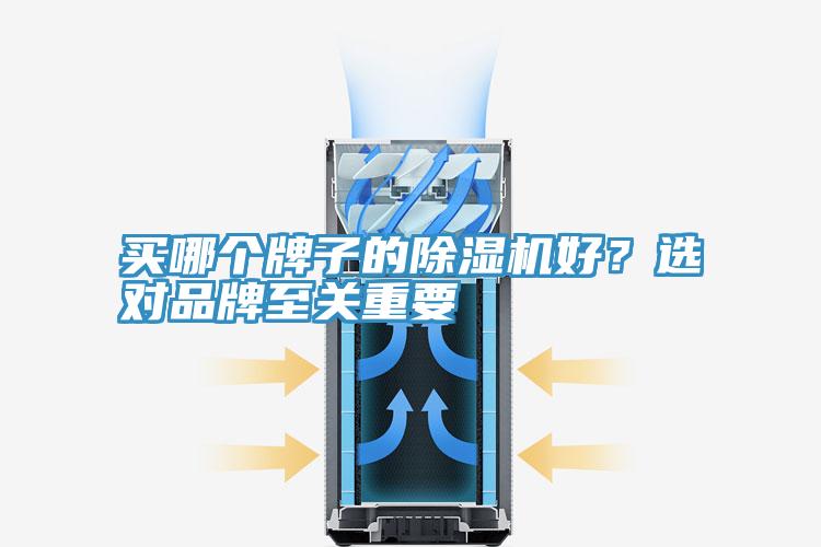 買哪個(gè)牌子的除濕機(jī)好？選對(duì)品牌至關(guān)重要