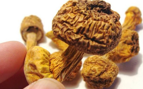 巴西菇、姬松茸烘干機(jī)-怎樣烘干色澤好且菇體褶片完整？