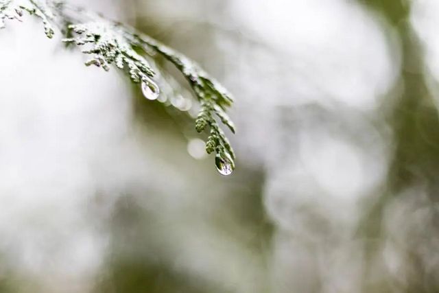 空氣濕度大帶來(lái)的危害有哪些，你知道嗎？