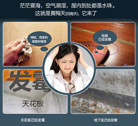 家庭別墅的地下室、衛(wèi)生間、儲(chǔ)物室等該如何除濕？