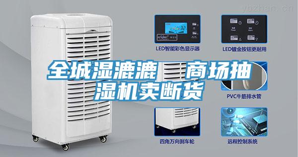 全城濕漉漉  商場(chǎng)抽濕機(jī)賣(mài)斷貨