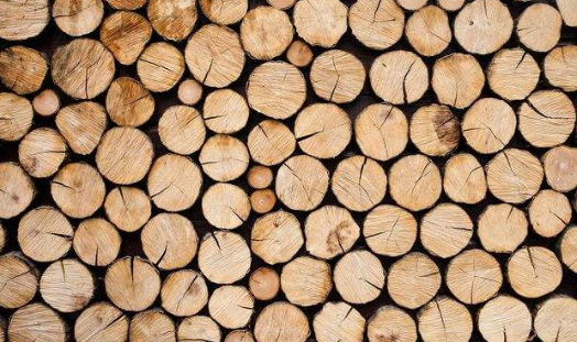 木材烘干除濕機(jī)哪個(gè)牌子好，怎么選擇