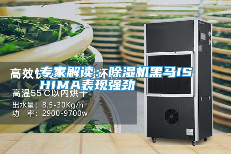 專(zhuān)家解讀：除濕機(jī)黑馬ISHIMA表現(xiàn)強(qiáng)勁