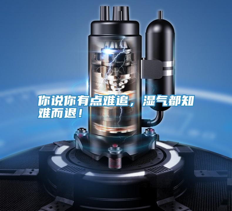 你說你有點難追，濕氣都知難而退！