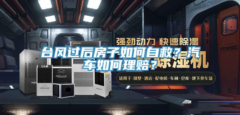 臺風過后房子如何自救？汽車如何理賠？