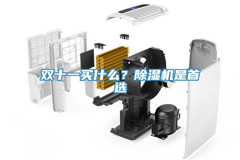 雙十一買什么？除濕機是首選