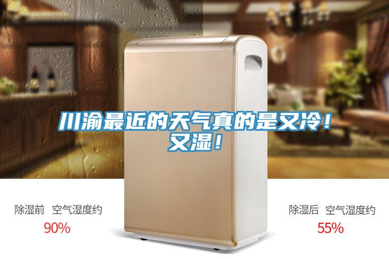 川渝最近的天氣真的是又冷！又濕！