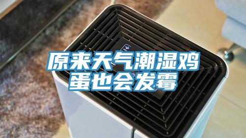 原來天氣潮濕雞蛋也會(huì)發(fā)霉