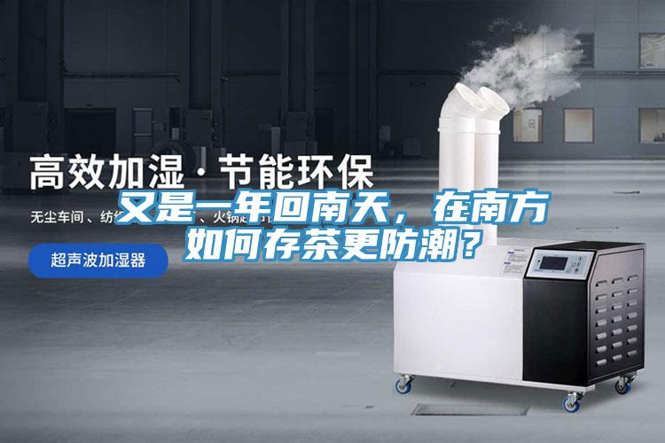 又是一年回南天，在南方如何存茶更防潮？