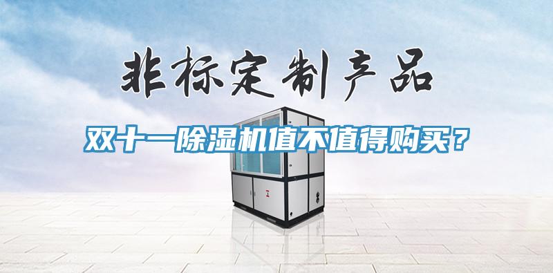 雙十一除濕機值不值得購買？