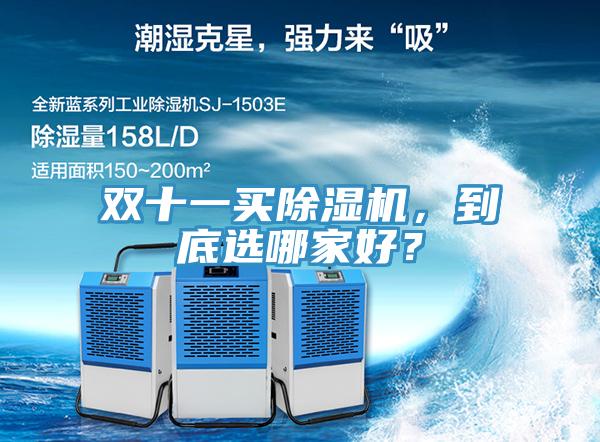 雙十一買除濕機，到底選哪家好？