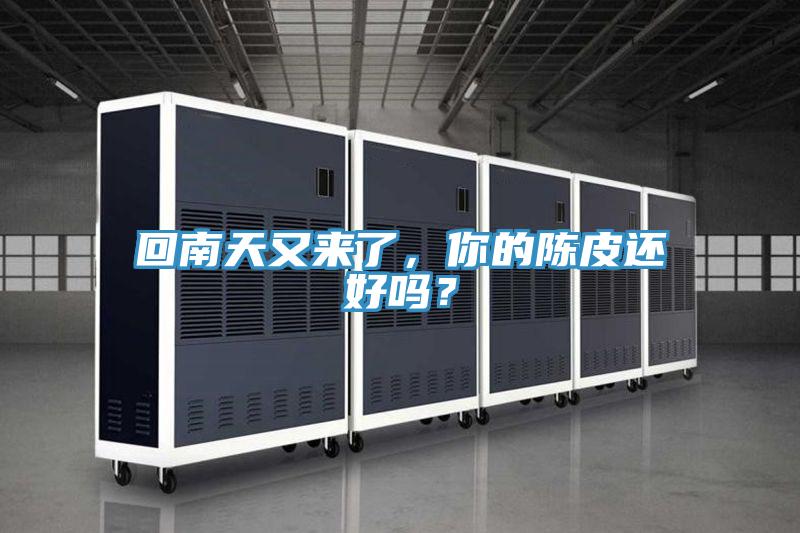 回南天又來了，你的陳皮還好嗎？