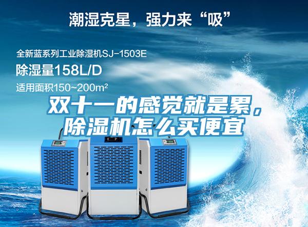 雙十一的感覺(jué)就是累，除濕機(jī)怎么買(mǎi)便宜