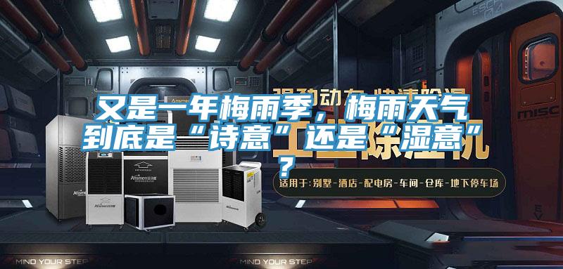 又是一年梅雨季，梅雨天氣到底是“詩意”還是“濕意”？