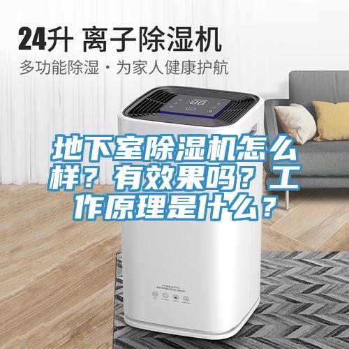 地下室除濕機怎么樣？有效果嗎？工作原理是什么？