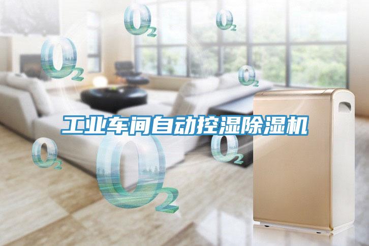 工業(yè)車間自動(dòng)控濕除濕機(jī)