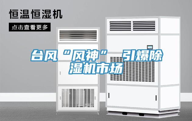 臺(tái)風(fēng)“風(fēng)神” 引爆除濕機(jī)市場