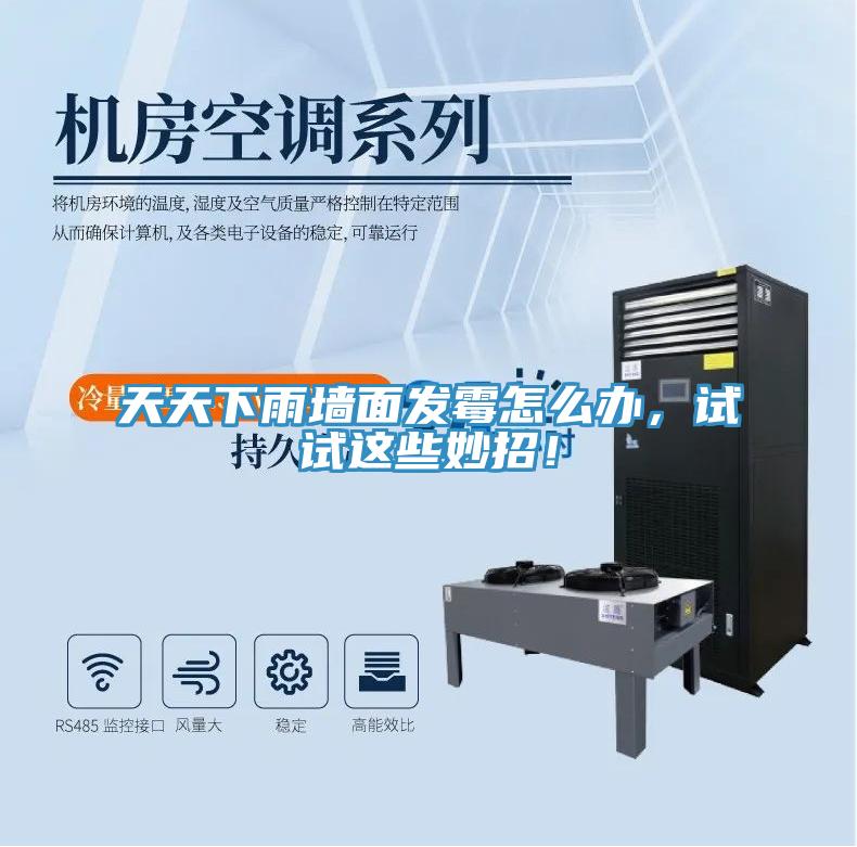 天天下雨墻面發(fā)霉怎么辦，試試這些妙招！