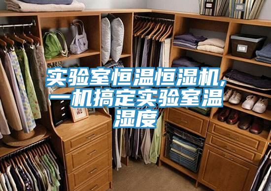 實(shí)驗(yàn)室恒溫恒濕機(jī),一機(jī)搞定實(shí)驗(yàn)室溫濕度