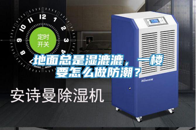 地面總是濕漉漉，一樓要怎么做防潮？