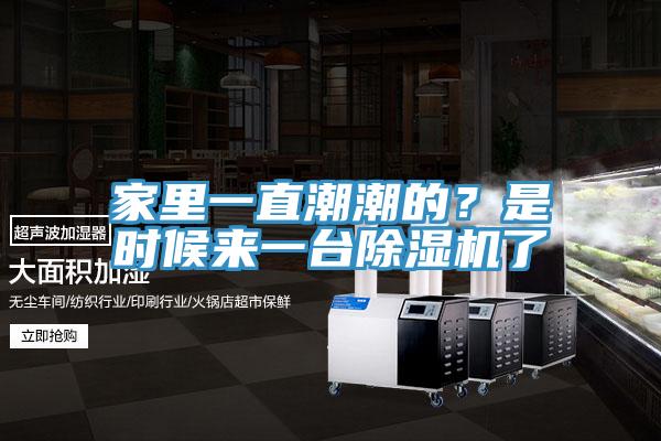 家里一直潮潮的？是時(shí)候來(lái)一臺(tái)除濕機(jī)了