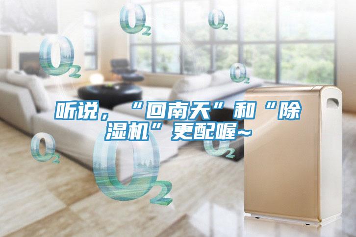 聽(tīng)說(shuō)，“回南天”和“除濕機(jī)”更配喔~