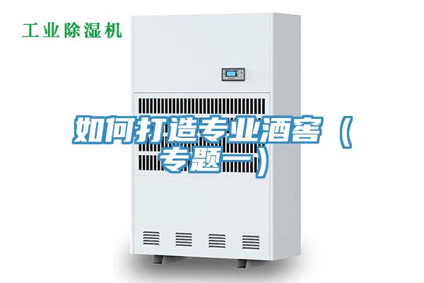 如何打造專(zhuān)業(yè)酒窖（專(zhuān)題一）