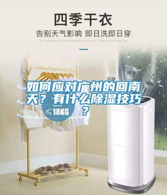 如何應(yīng)對(duì)廣州的回南天？有什么除濕技巧？
