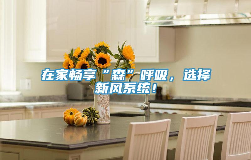 在家暢享“森”呼吸，選擇新風(fēng)系統(tǒng)！