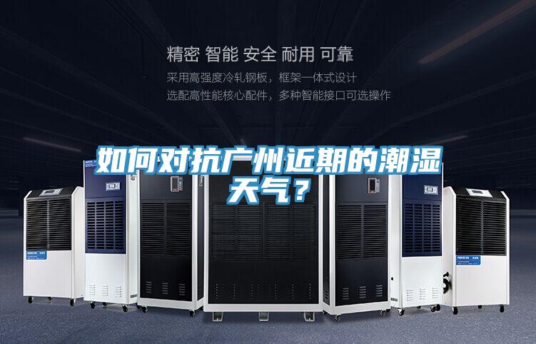 如何對(duì)抗廣州近期的潮濕天氣？