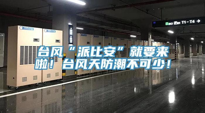 臺(tái)風(fēng)“派比安”就要來啦！臺(tái)風(fēng)天防潮不可少！