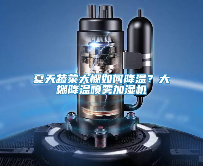 夏天蔬菜大棚如何降溫？大棚降溫噴霧加濕機(jī)