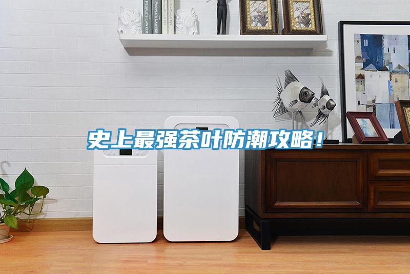 史上最強茶葉防潮攻略！