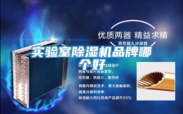 實(shí)驗(yàn)室除濕機(jī)品牌哪個(gè)好