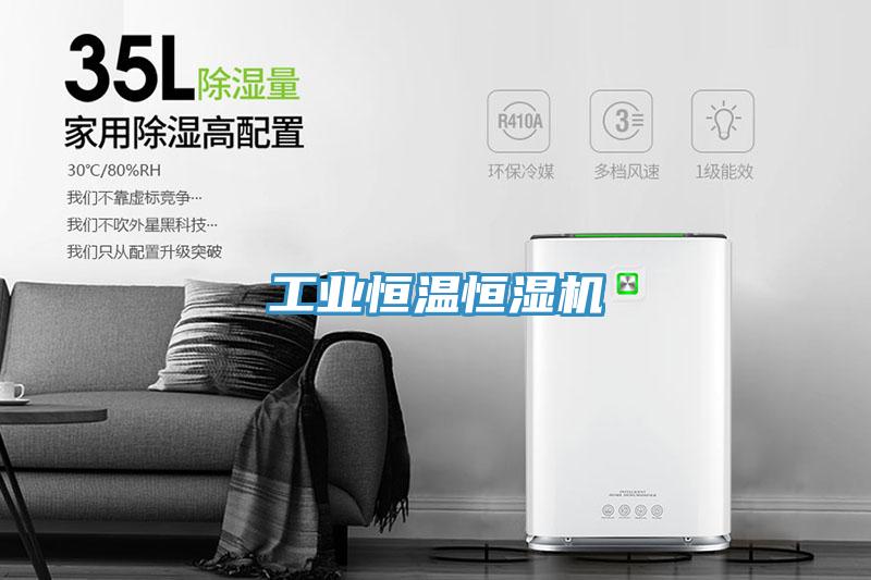 工業(yè)恒溫恒濕機(jī)