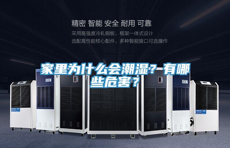 家里為什么會潮濕？有哪些危害？