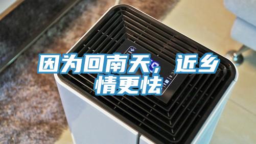 因?yàn)榛啬咸?，近鄉(xiāng)情更怯