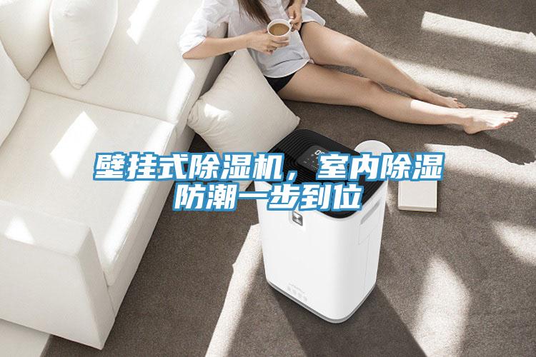 壁掛式除濕機(jī)，室內(nèi)除濕防潮一步到位