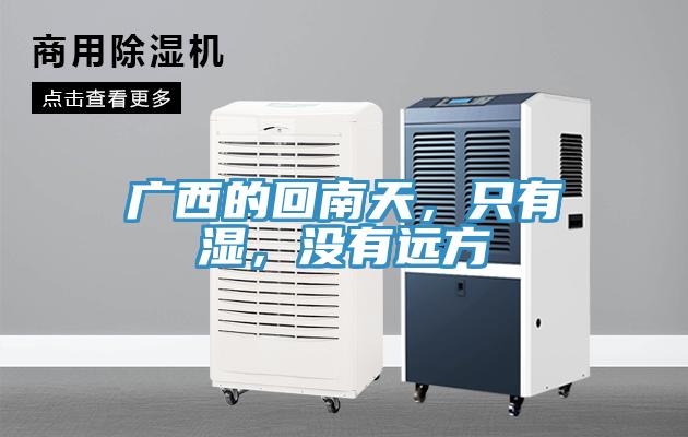 廣西的回南天，只有濕，沒有遠方