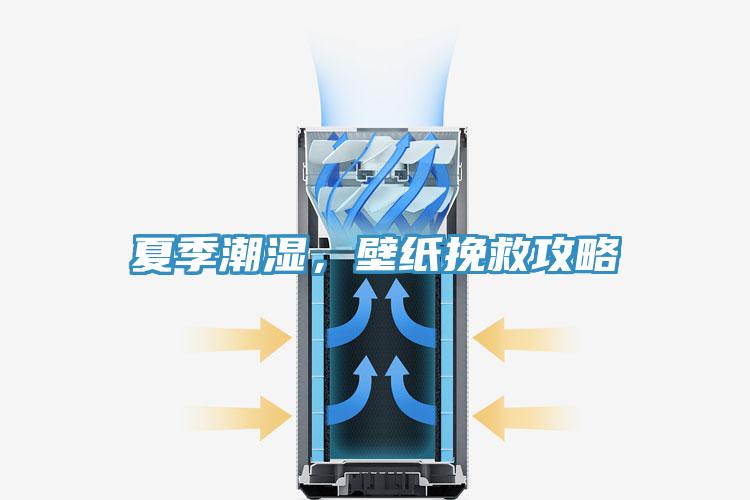 夏季潮濕，壁紙挽救攻略