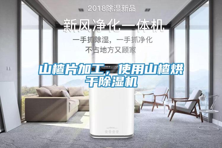 山楂片加工，使用山楂烘干除濕機(jī)