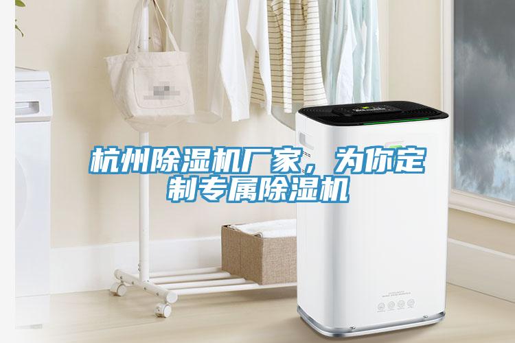 杭州除濕機(jī)廠家，為你定制專屬除濕機(jī)