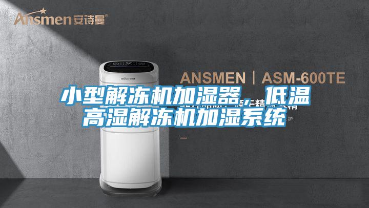 小型解凍機(jī)加濕器，低溫高濕解凍機(jī)加濕系統(tǒng)