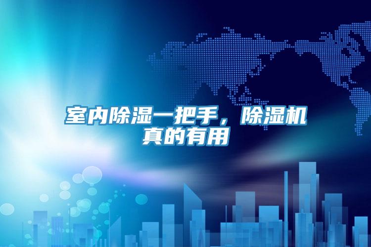 室內(nèi)除濕一把手，除濕機真的有用