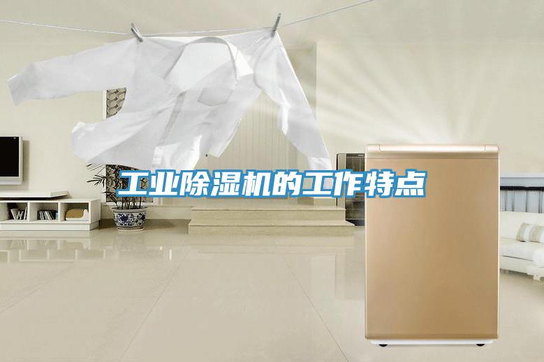 工業(yè)除濕機(jī)的工作特點(diǎn)